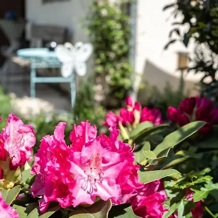 Appartement Oma's In Haus Grete