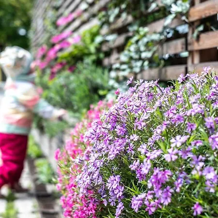 Oma's In Haus Grete Lejlighed