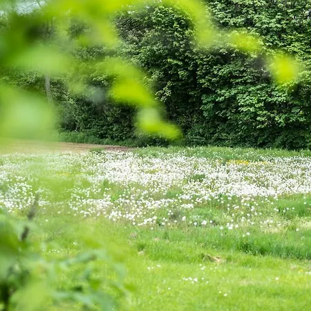 Appartement Oma's In Haus Grete