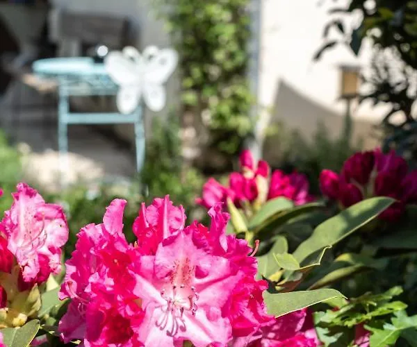 شقة Oma's In Haus Grete