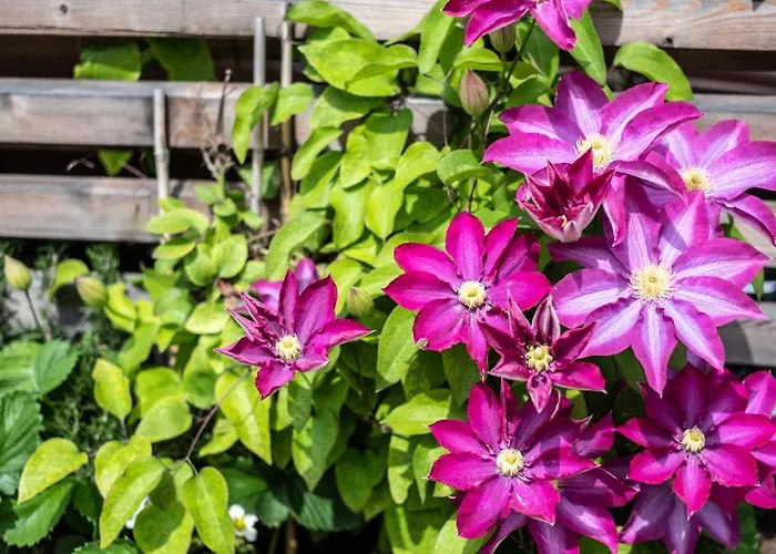 Oma's In Haus Grete شقة *