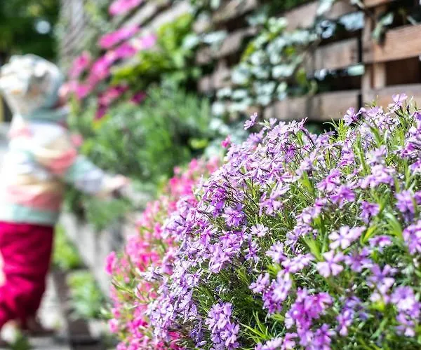 Oma's In Haus Grete شقة