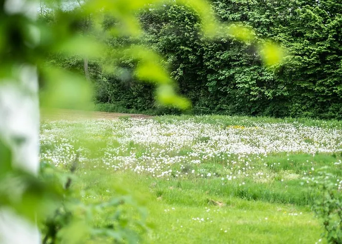 شقة Oma's In Haus Grete